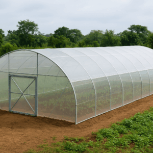 Serre pépinière 250 m² – Image 1