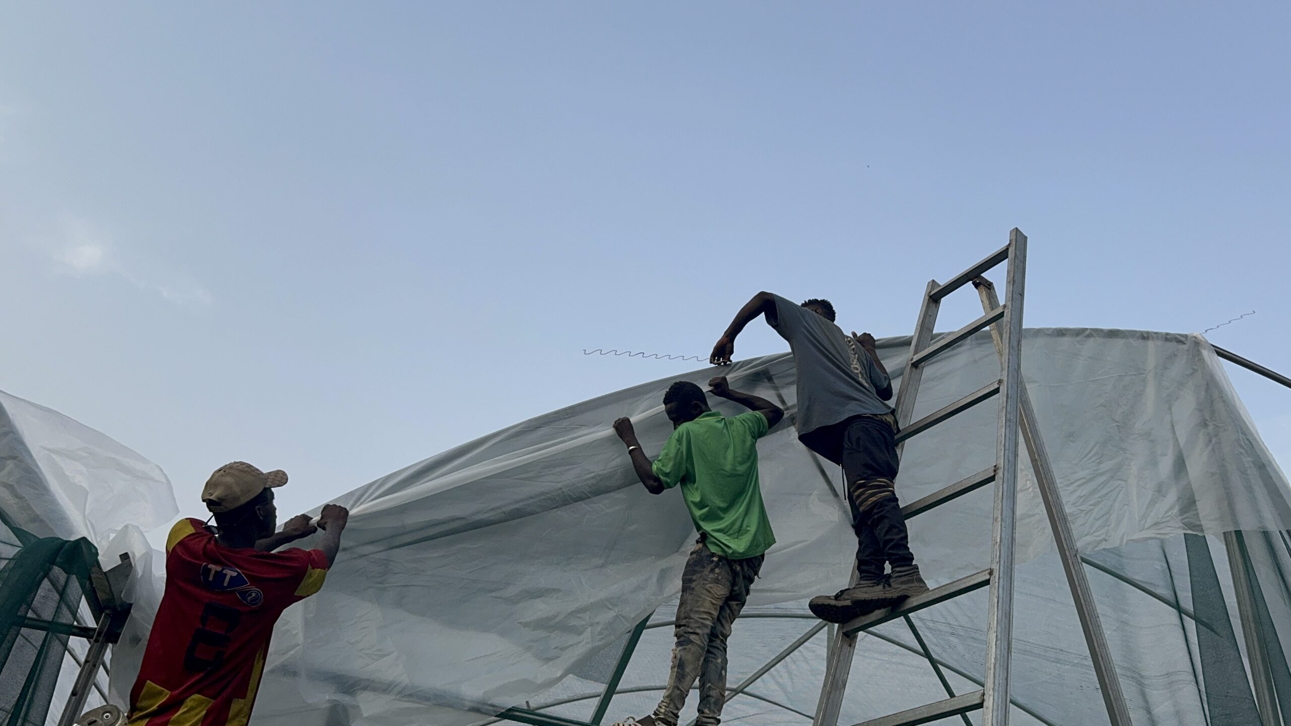 Songon — 5 tunnels 500 m²