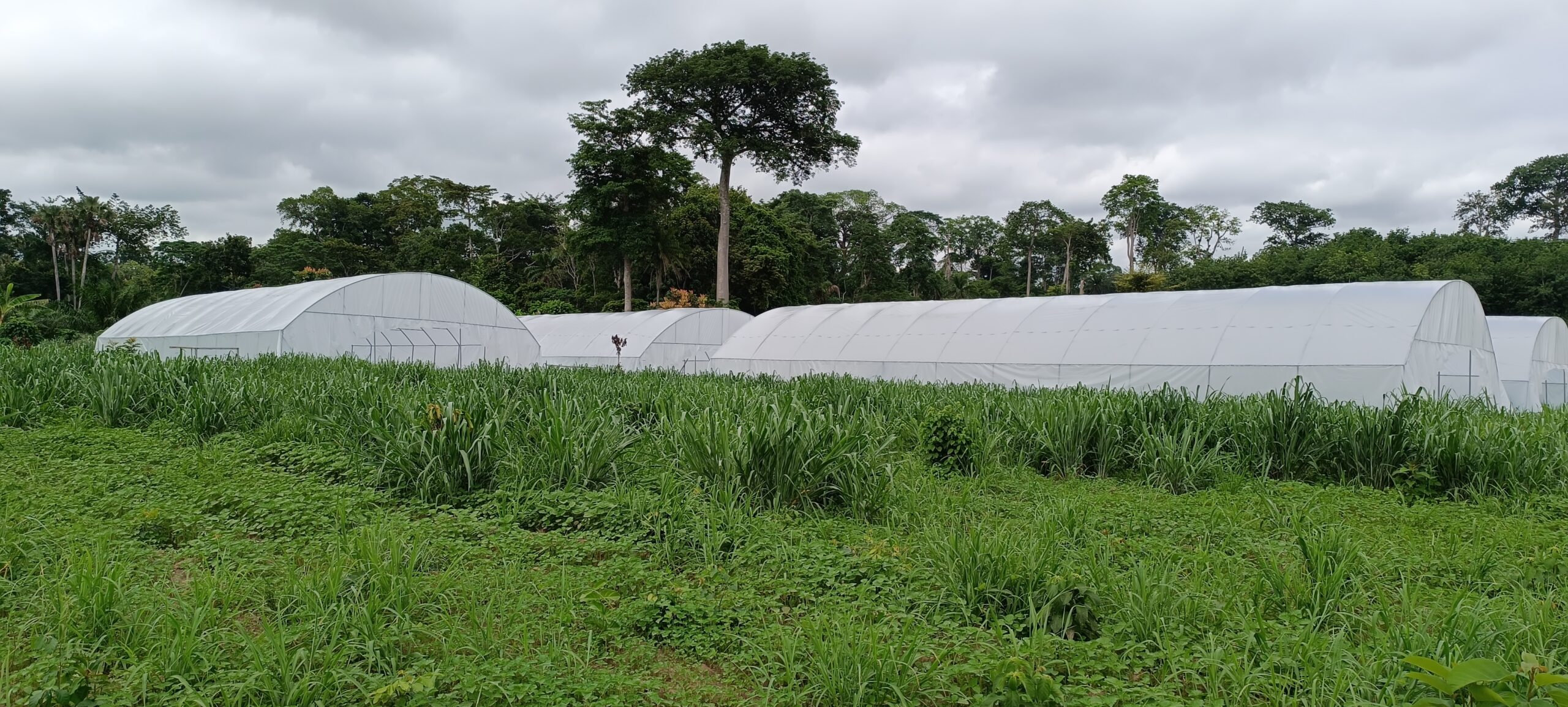 Chantier — en cours