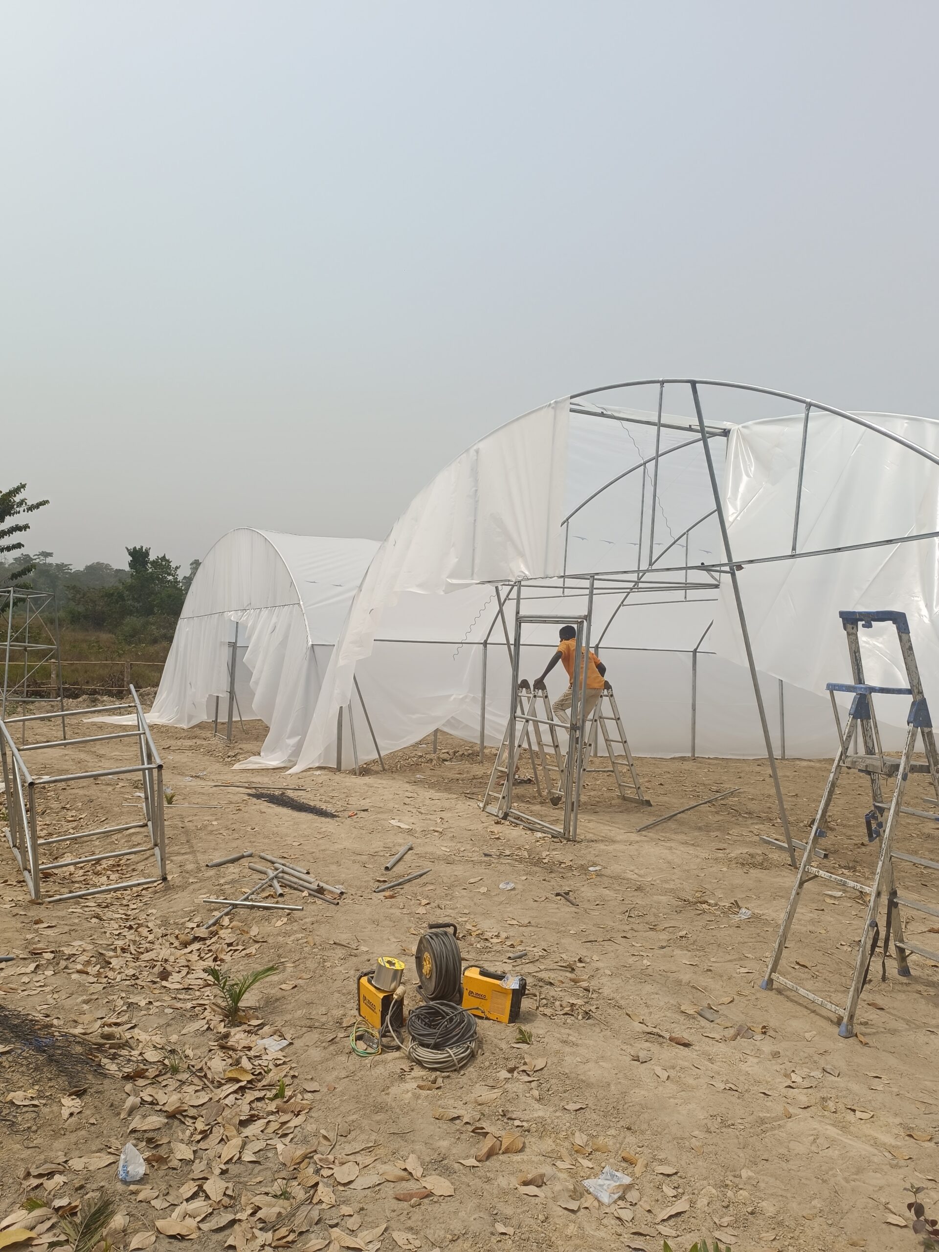 Akoupé — 4 serres de 250 m²