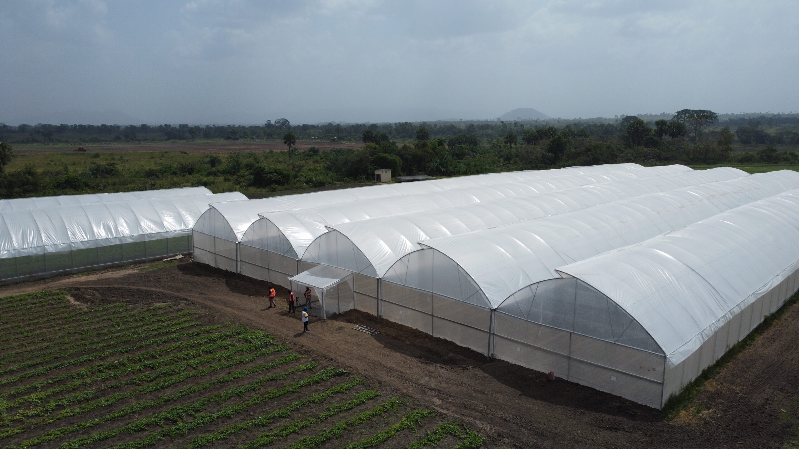 Assounvoué — 5000 m²